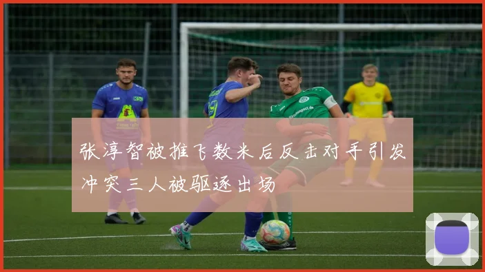 张淳智被推飞数米后反击对手引发冲突三人被驱逐出场